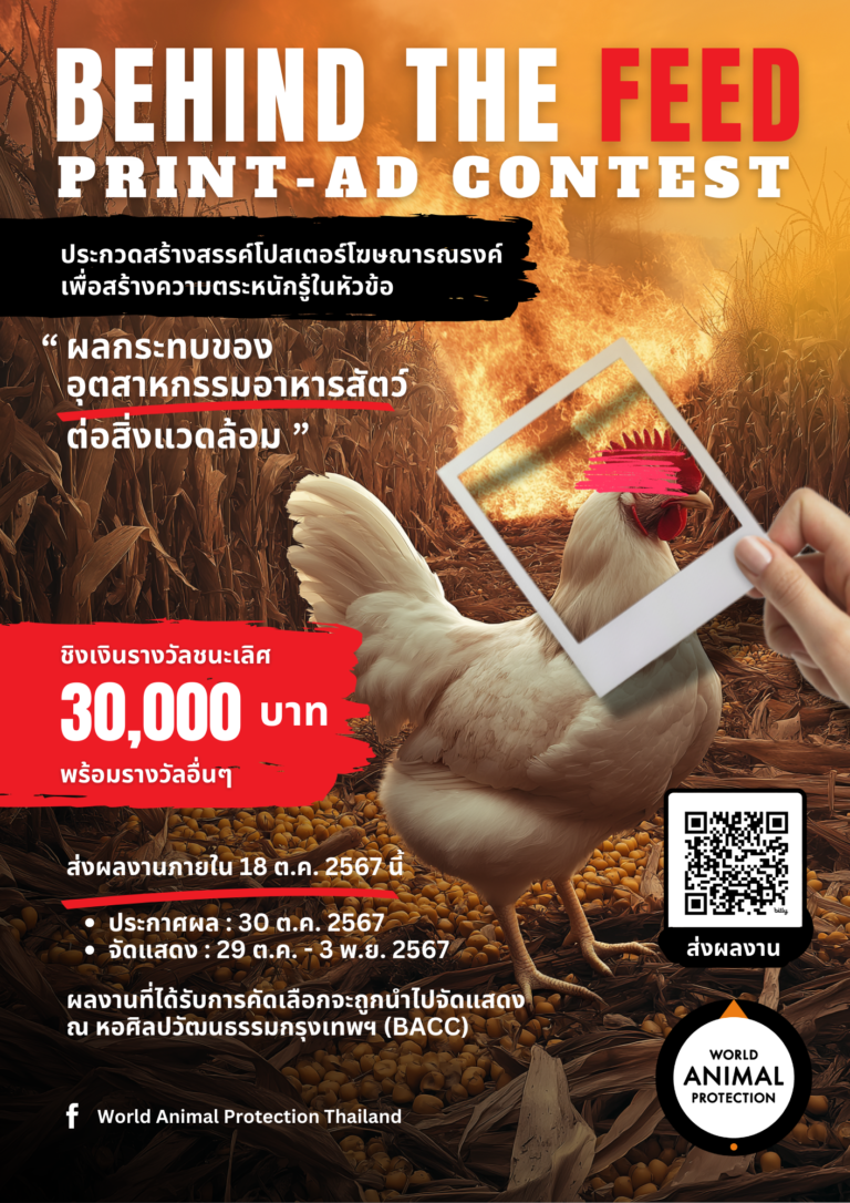 องค์กรพิทักษ์สัตว์แห่งโลก ปลุกใจชาวอาร์ต เปิดประลองไอเดียครีเอทีฟ “Print Ads Contest”  สะท้อนวิกฤต “ผลกระทบอุตสาหกรรมข้าวโพดอาหารสัตว์ต่อสิ่งแวดล้อม”  ชิงเงินรางวัลรวมมูลค่ากว่า 6 หมื่นบาท.